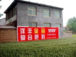 印江如何让墙体广告展现最大化效果