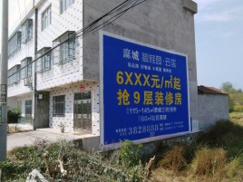 印江墙体广告质量分析