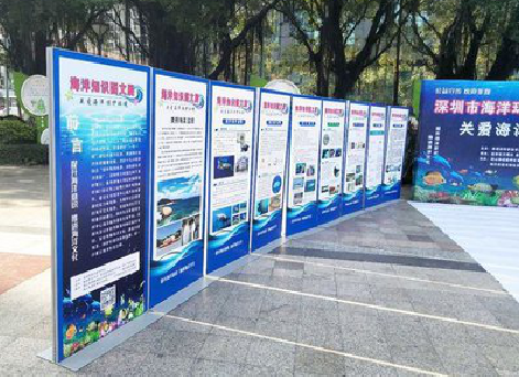 印江KT板的种类和知识。